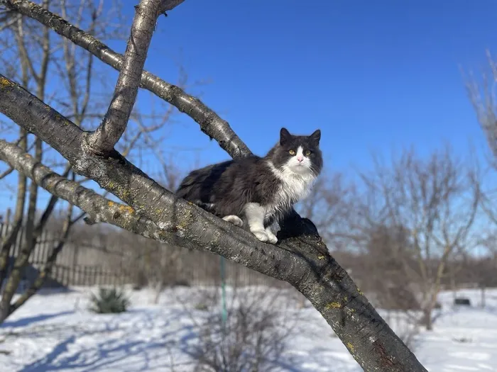 IMG_20260227_115541_979