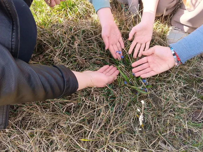 IMG_20260331_142139_739