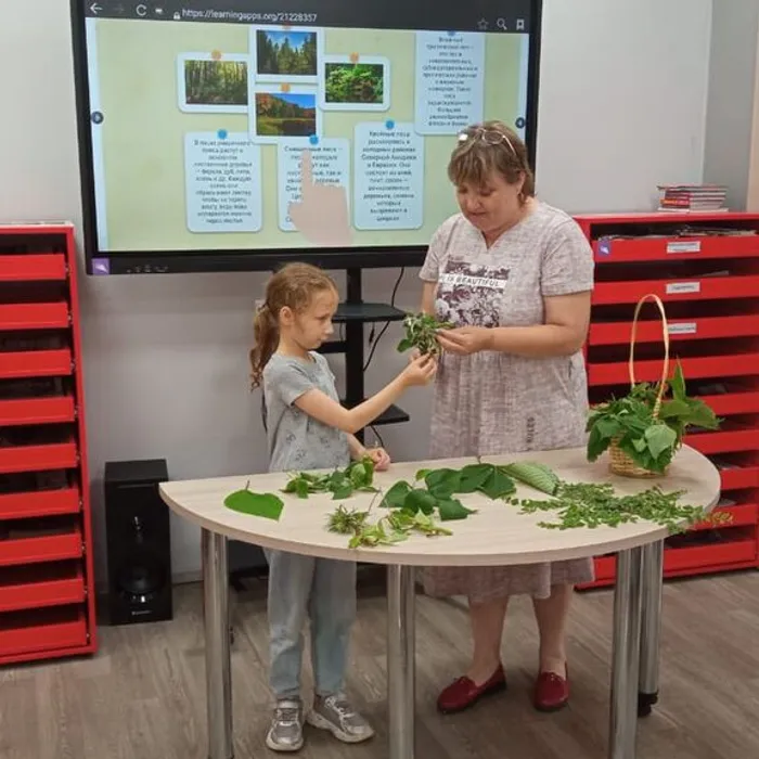 Игровая экологическая мозаика «Про зеленые леса и лесные чудеса»